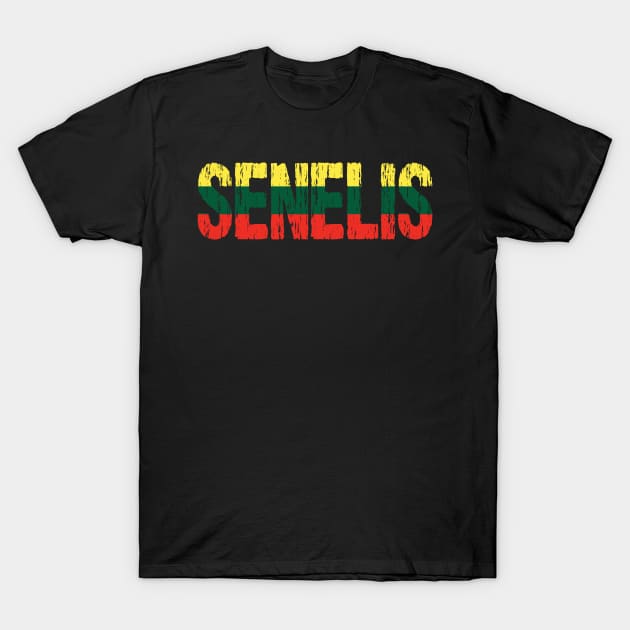 Lithuanian Senelis Grandfather Grandpa Lietuva Flag T-Shirt by Nirvanibex